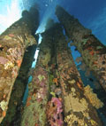 lightroom 3.0 lens correction fisheye lens for underwater photography