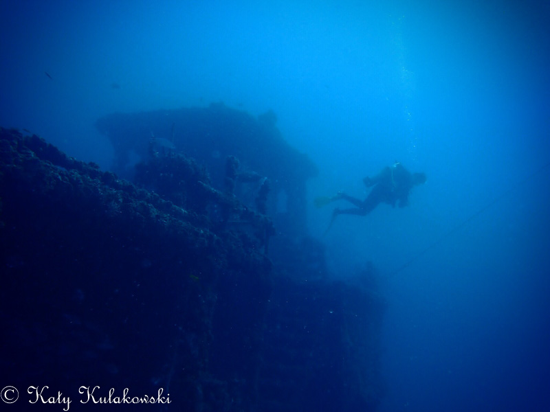 Olympus Tough TG Camera Review   Underwater Phot ...