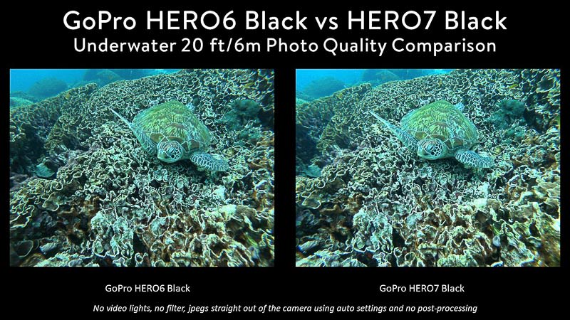 GoPro 6 vs GoPro 7 Underwater Photo Comparison Turtle on coral
