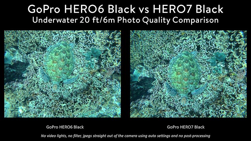 GoPro 6 vs GoPro 7 Underwater Photo Comparison of a sea turtle on coral, taken from above