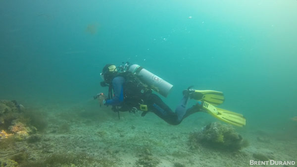 GoPro underwater magenta filter