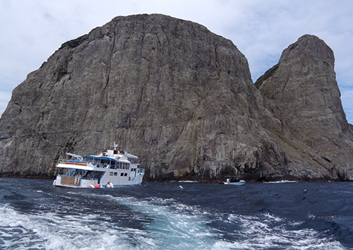 malpelo