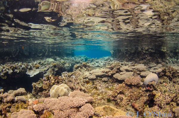 mirror pond Solomon Islands