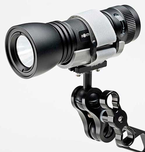 nocturnal dive light with ultralight focus light mount