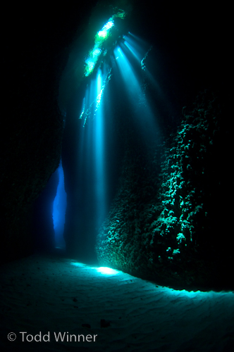 ambient light underwater photography, sunbeams