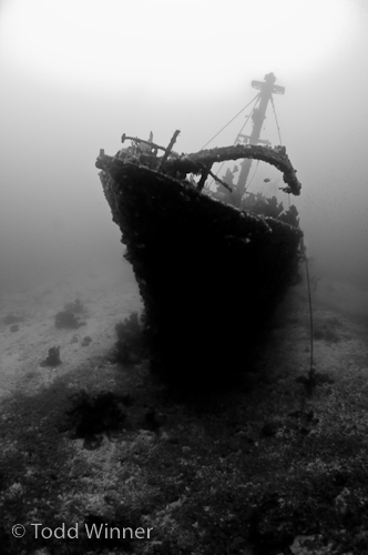 ambient light shipwreck underwater photography