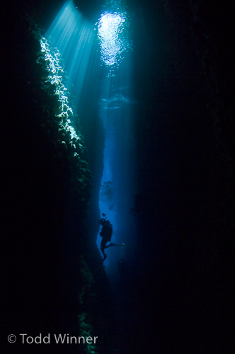solomon islands underwater photography