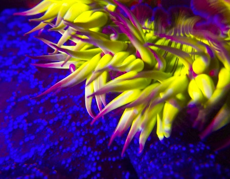 May Photo Contest