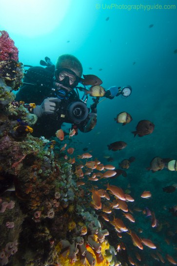 anilao underwater photo workshop winners