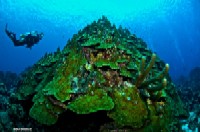 diving curacao