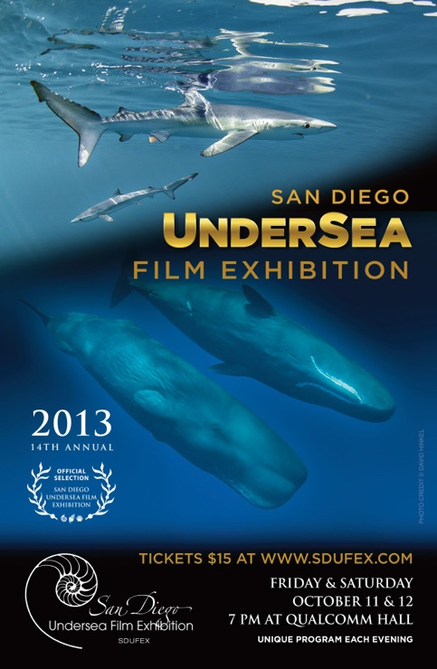 SDUFEX Undersea Video Contest