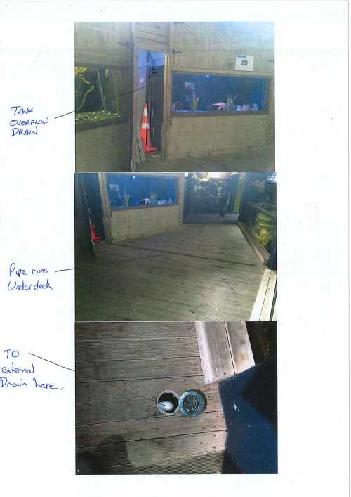 Photographs and notes showing Inky's likely escape path.<br/>Courtesy of National Aquarium of New Zealand.