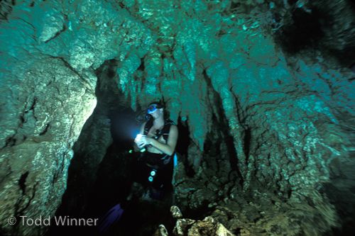 diving underwater in the chandelier caves, palau