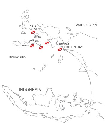 raja ampat and triton bay map