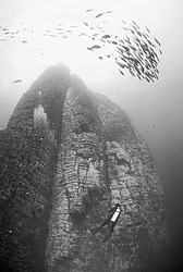 Underwater photo of Roca Partida