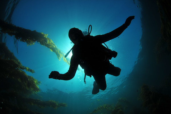 snell's window underwater photograph