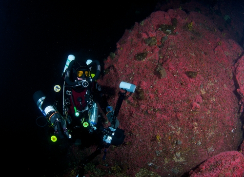 diver in the pacific northwest
