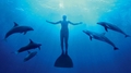 the cove movie, underwater diver with dolphins