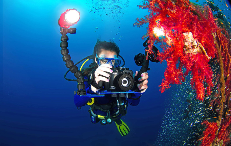 Underwater Housings ReviewsUnderwater Photography Guide