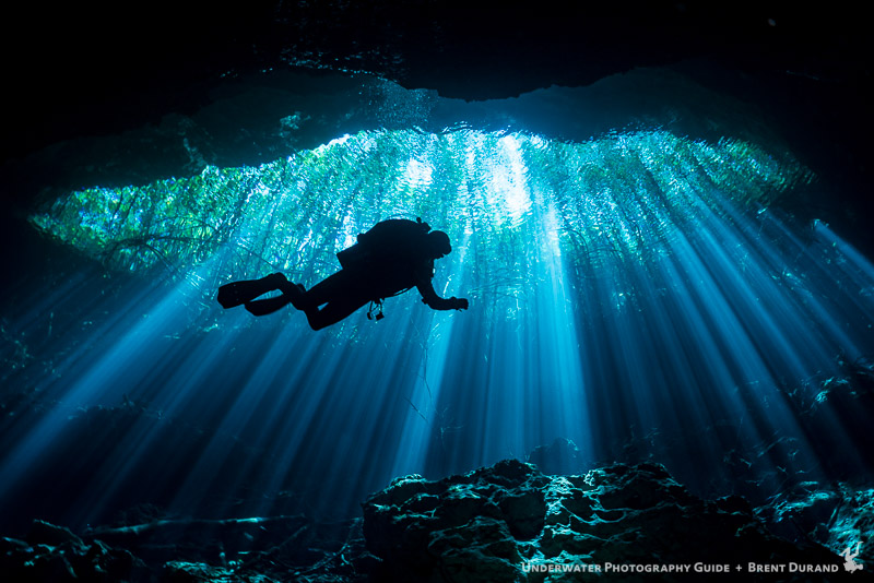 Diving the Mexico Cenotes|Underwater Photography Guide