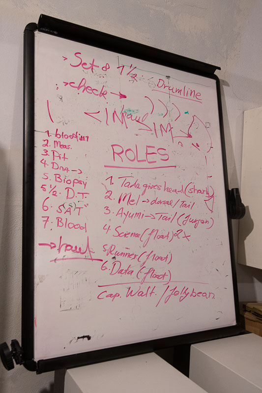 ESA Satellite Tagging Bioligist's Roles