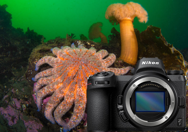 industrial underwater video camera