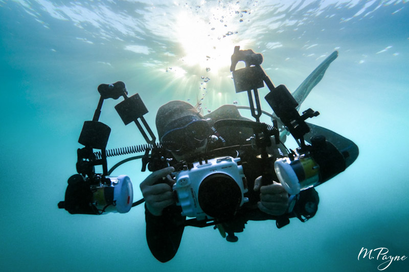 Underwater Photography Guide contributor Jenna Szerlag with Salted Line Housing, macro port and dual Sea&Sea YSD2j strobes. 