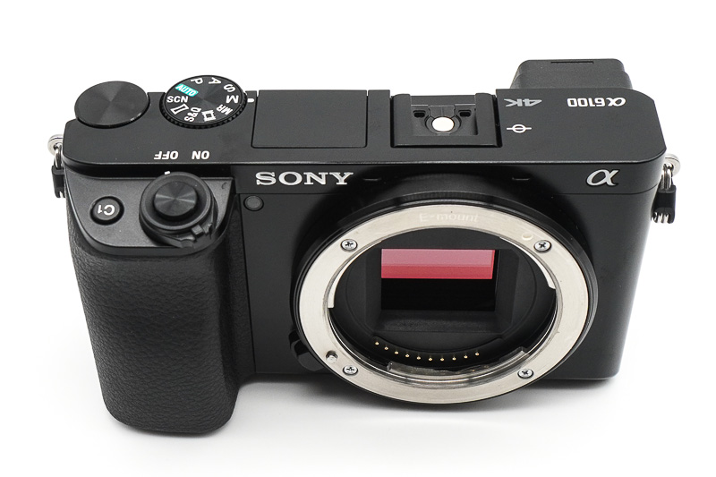 Sony a6100 Mirrorless Camera