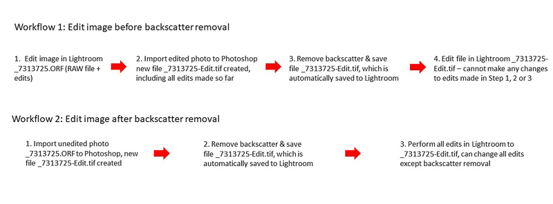 The two Photoshop/Lightroom backscatter removal workflows