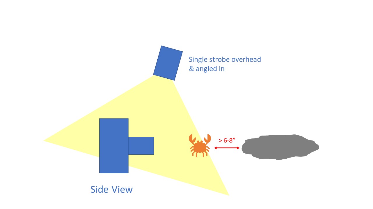 Inward-facing strobe positioning for one strobe