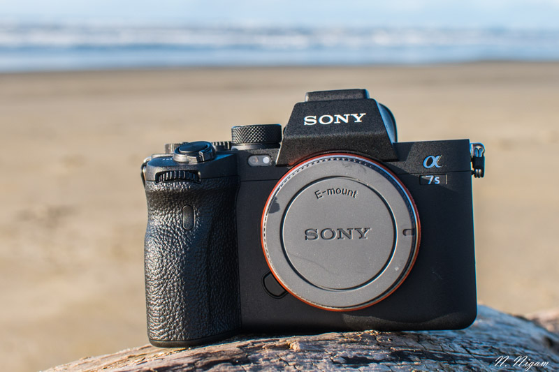 Sony A7S III underwater review