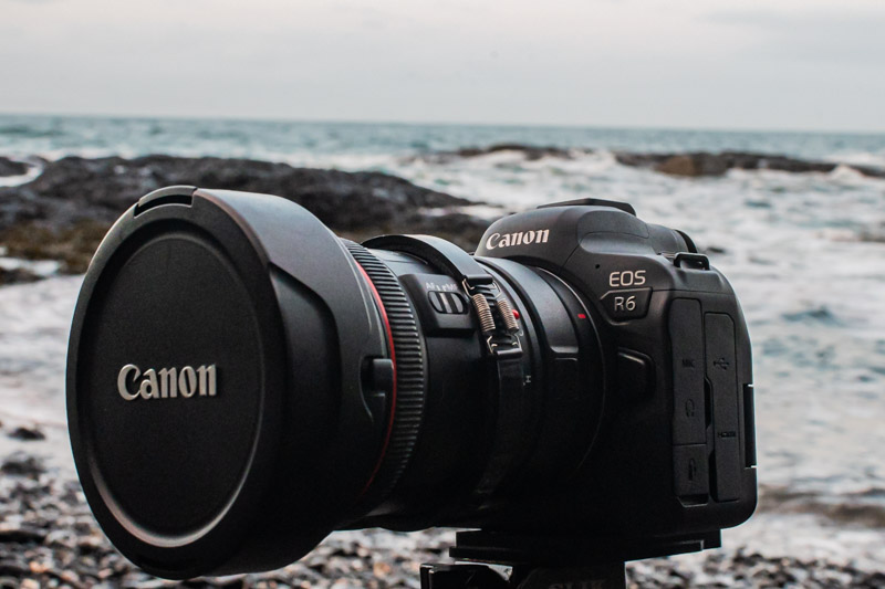 canon r6 with ef lenses