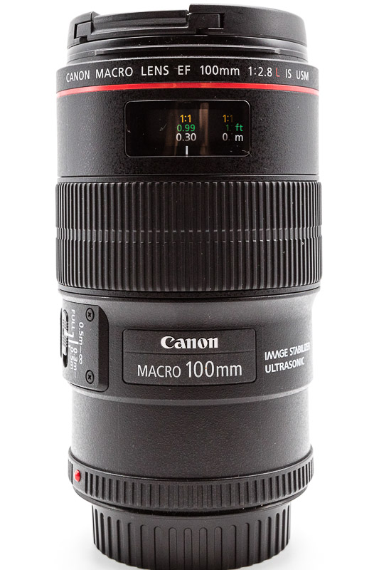 Canon EF100mm f/2.8L Macro IS USM Lens