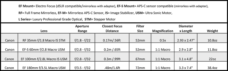 Canon macro lens options for underwater photography