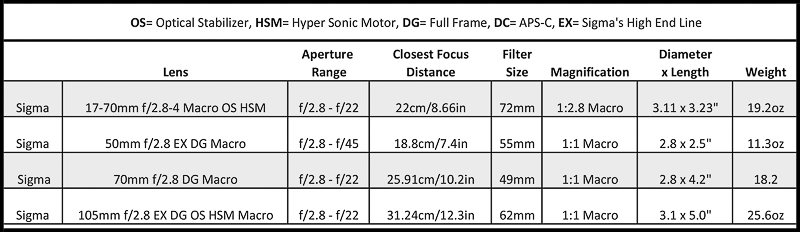 Sigma macro lens options for underwater photography