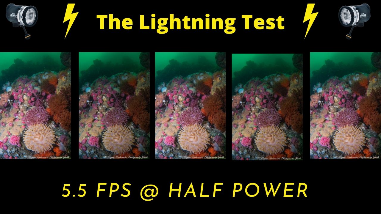 Sea & Sea YS-D3 lightning test