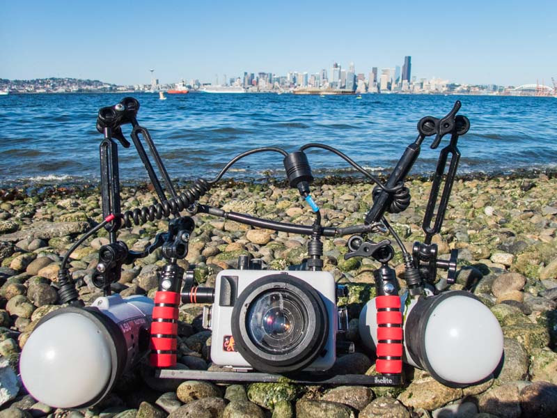 Canon SL3 Review Underwater
