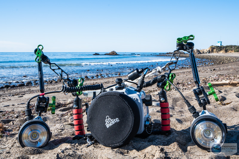 The Sony A7 IV in an Ikelite A7 IV underwater housing in the field