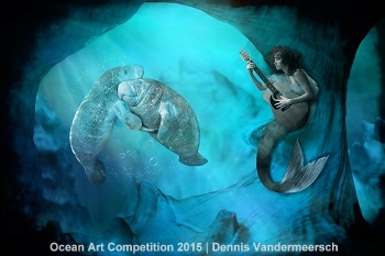 3rd Place - Dennis Vandermeersch