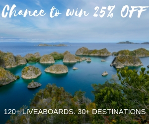 25% Off Online Booking Sale