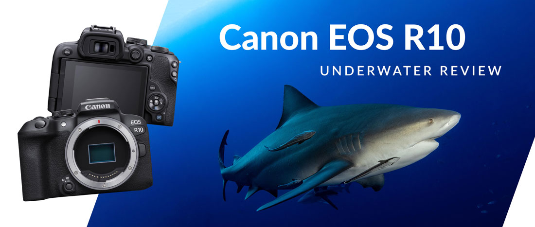 Canon EOS R10 Review - Underwater Photography Guide