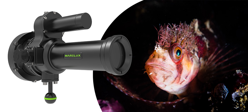 Marelux Smart Optical Flash Tube (SOFT) Snoot Review - Underwater  Photography Guide