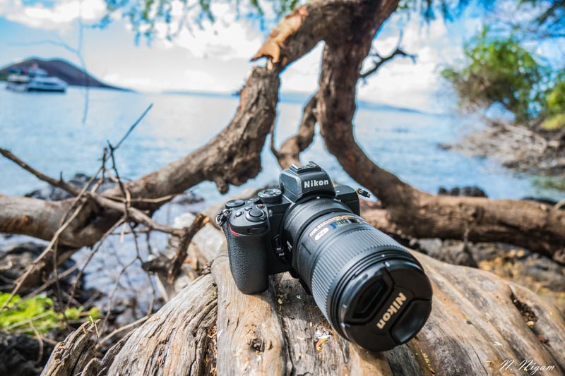 Nikon Z 50 Review 