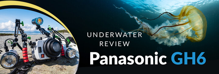 4 -Litre Panasonic Hot Water Dispenser Review 