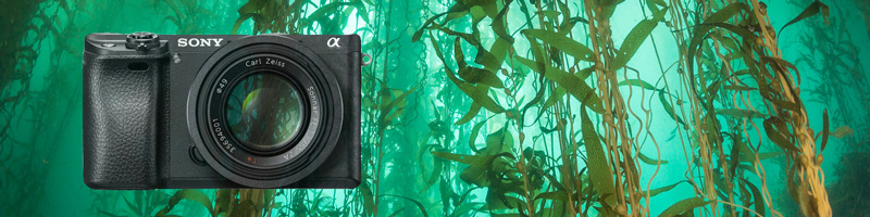 sony a6300 in 2020