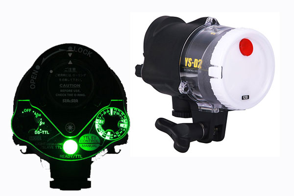 SEA&SEA Announces the Next Generation YS-D2 Strobe - Underwater