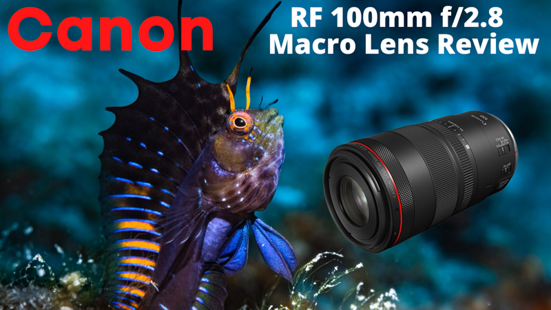 Re: R6 Chromatic Aberration, Diffraction, not sure - Page 3 - Canon Community