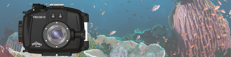 fantasea frx100