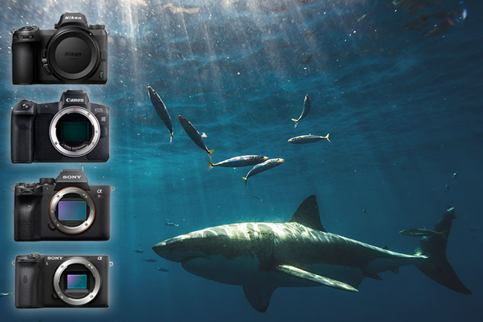 Which camera is best for underwater photography?