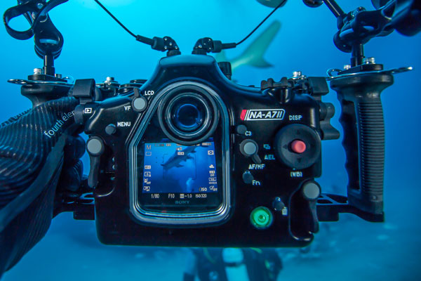 Nauticam Sony A7 II Housing Announced - Underwater Photography Guide